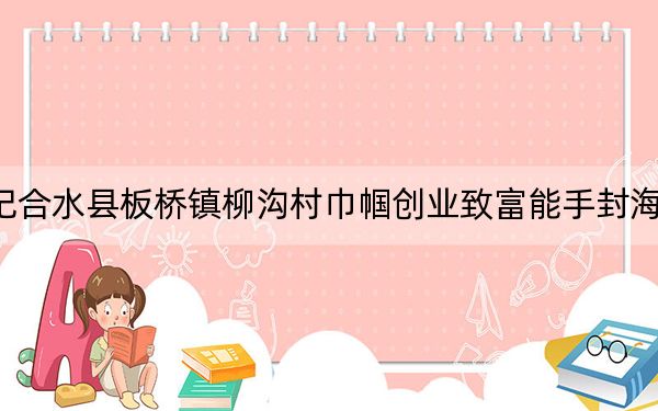 记合水县板桥镇柳沟村巾帼创业致富能手封海芳
