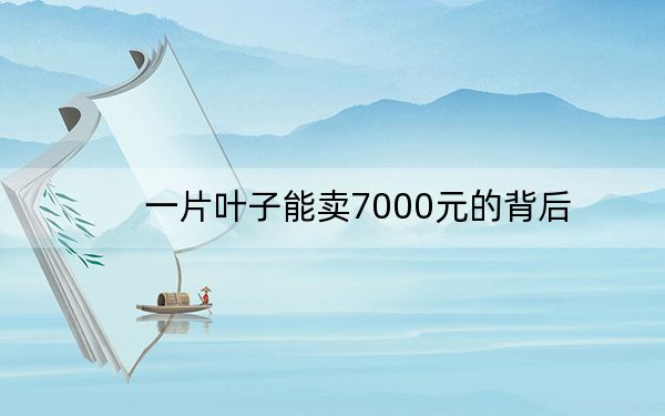 一片叶子能卖7000元的背后
