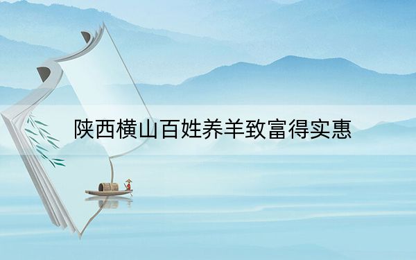 陕西横山百姓养羊致富得实惠