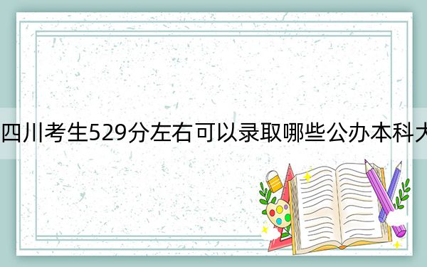 四川考生529分左右可以录取哪些公办本科大学？（附带2022-2024年529左右大学名单）