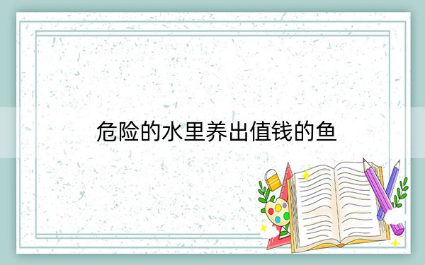 危险的水里养出值钱的鱼