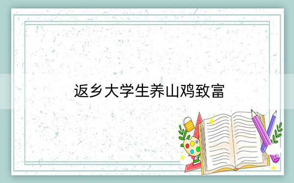 返乡大学生养山鸡致富