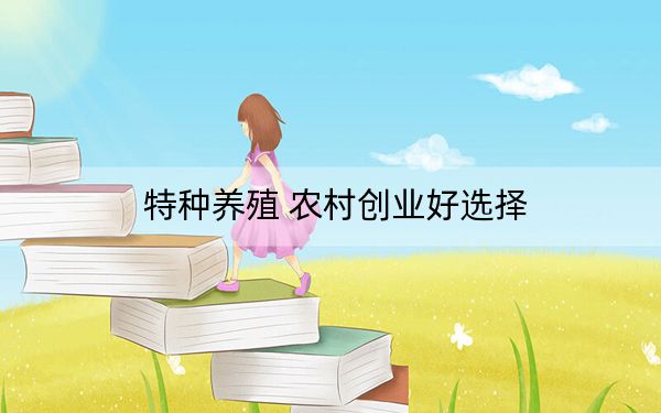 特种养殖 农村创业好选择