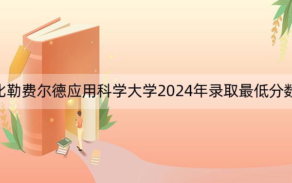 海南比勒费尔德应用科学大学2024年录取最低分数线是多少？上海考生2025年参考