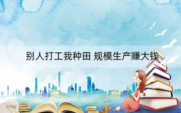 别人打工我种田 规模生产赚大钱
