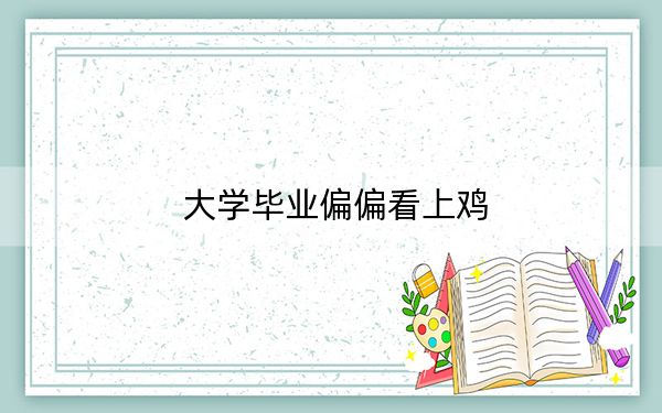 大学毕业偏偏看上鸡