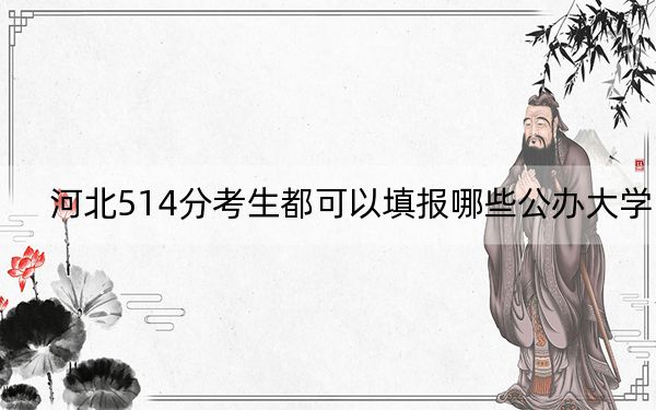 河北514分考生都可以填报哪些公办大学？（供2025年考生参考）