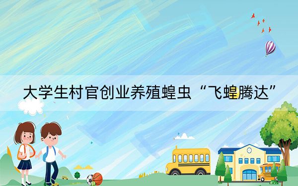 大学生村官创业养殖蝗虫“飞蝗腾达”