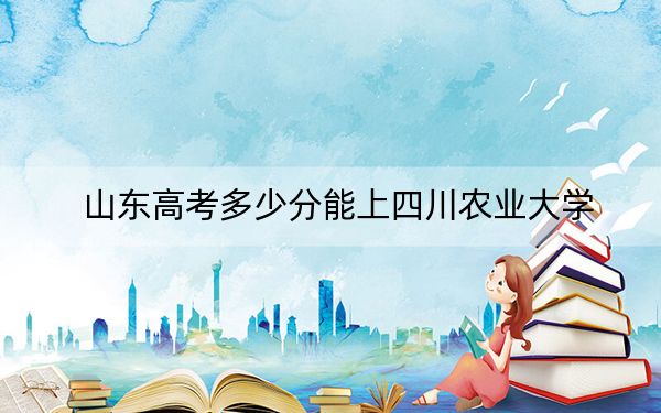 山东高考多少分能上四川农业大学？2024年综合最低分559分