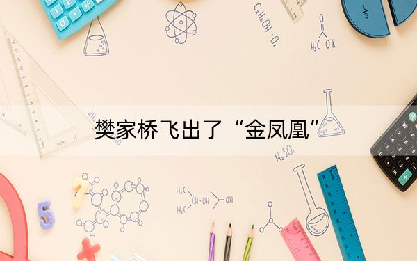 樊家桥飞出了“金凤凰”