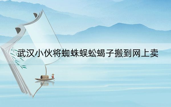 武汉小伙将蜘蛛蜈蚣蝎子搬到网上卖