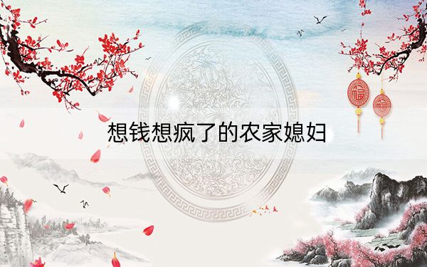 想钱想疯了的农家媳妇