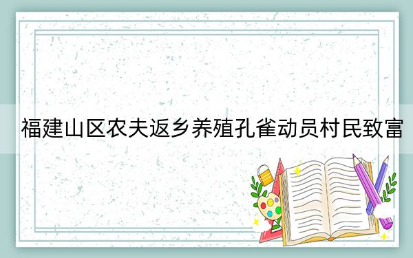 福建山区农夫返乡养殖孔雀动员村民致富