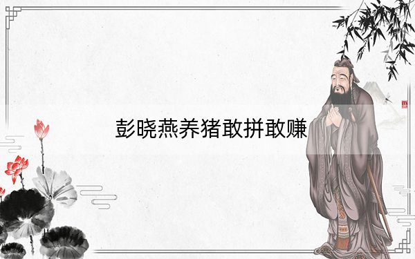 彭晓燕养猪敢拼敢赚