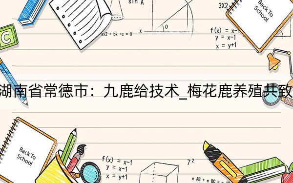 湖南省常德市：九鹿给技术_梅花鹿养殖共致富