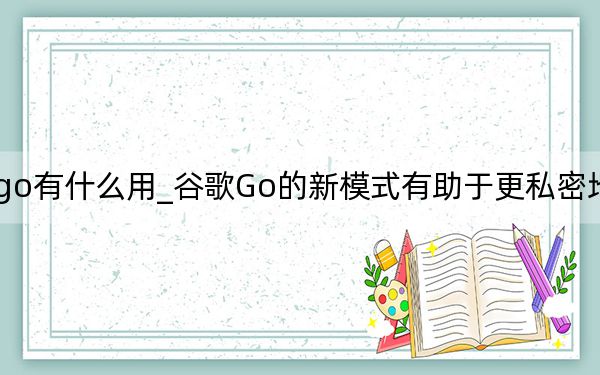 谷歌go有什么用_谷歌Go的新模式有助于更私密地浏览网页