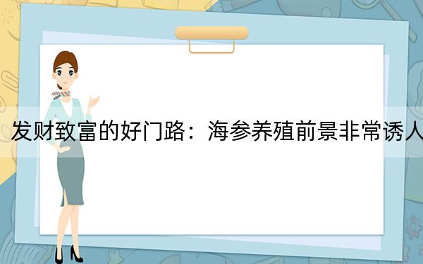 发财致富的好门路：海参养殖前景非常诱人