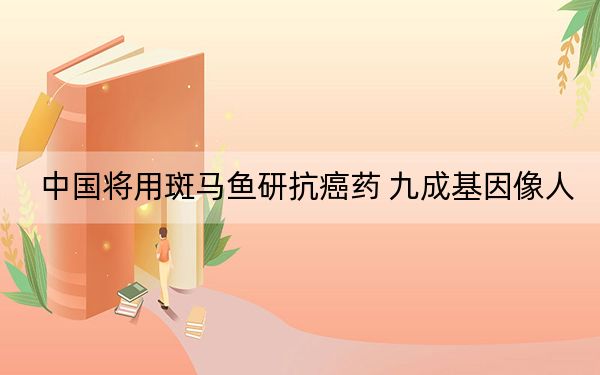 中国将用斑马鱼研抗癌药 九成基因像人