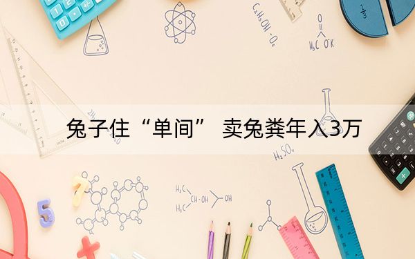 兔子住“单间” 卖兔粪年入3万