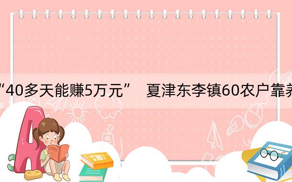 “40多天能赚5万元”  夏津东李镇60农户靠养鸭致