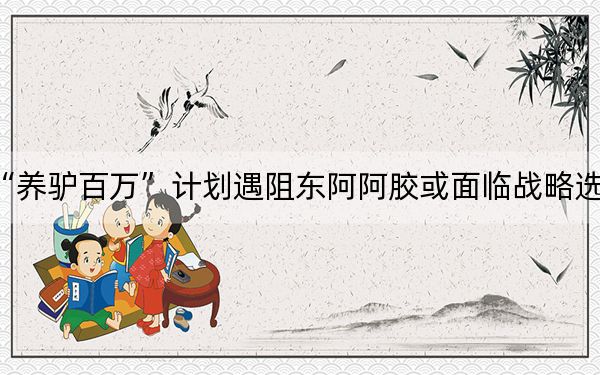 “养驴百万”计划遇阻东阿阿胶或面临战略选择