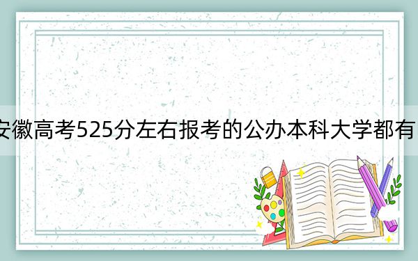 安徽高考525分左右报考的公办本科大学都有哪些？ 2025年高考可以填报70所大学