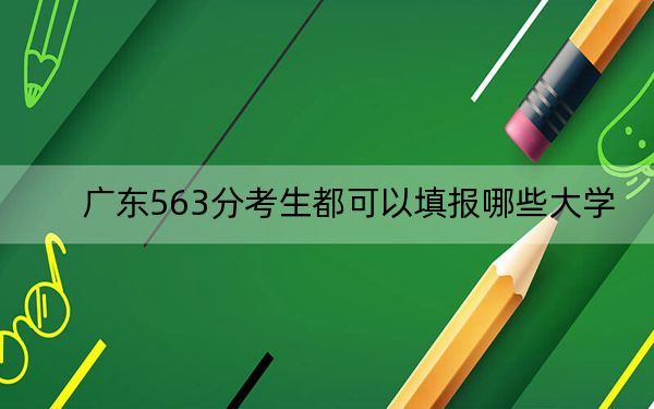 广东563分考生都可以填报哪些大学? 2024年录取最低分563的大学