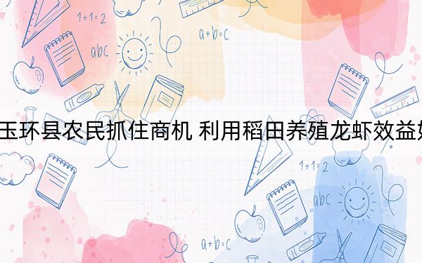 玉环县农民抓住商机 利用稻田养殖龙虾效益好