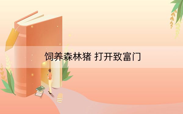 饲养森林猪 打开致富门