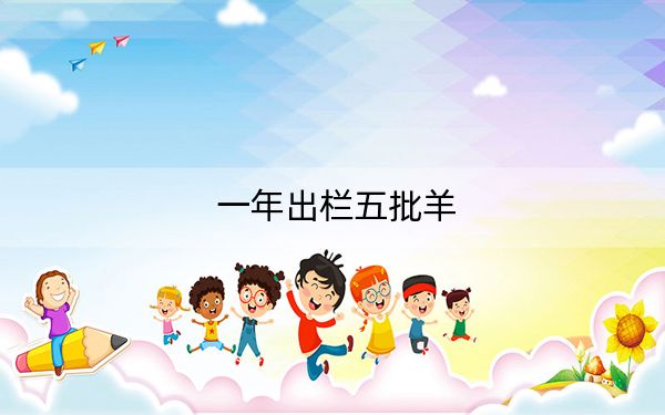 一年出栏五批羊