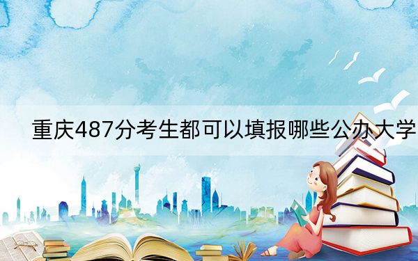 重庆487分考生都可以填报哪些公办大学？