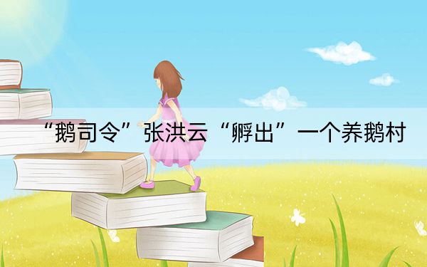 “鹅司令”张洪云“孵出”一个养鹅村
