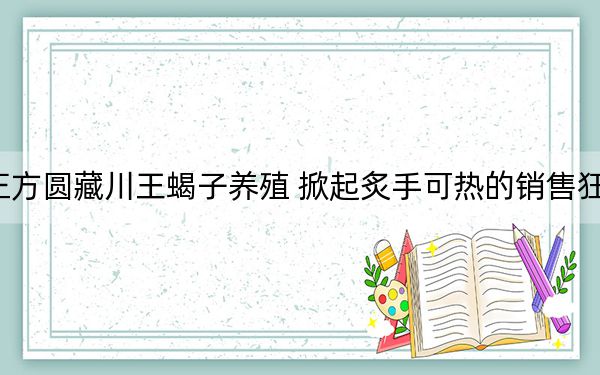 正方圆藏川王蝎子养殖 掀起炙手可热的销售狂潮