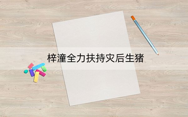 梓潼全力扶持灾后生猪