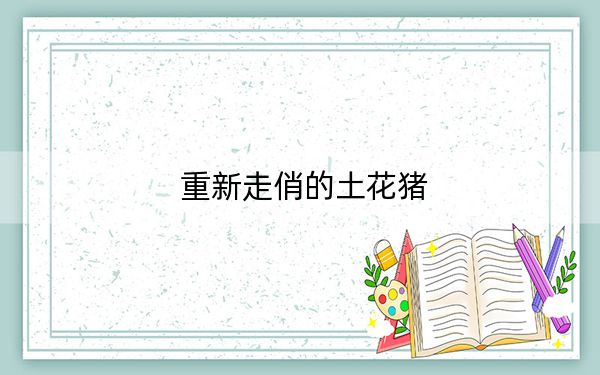 重新走俏的土花猪