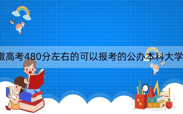 安徽高考480分左右的可以报考的公办本科大学名单！