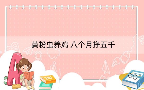 黄粉虫养鸡 八个月挣五千