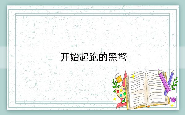 开始起跑的黑鹜