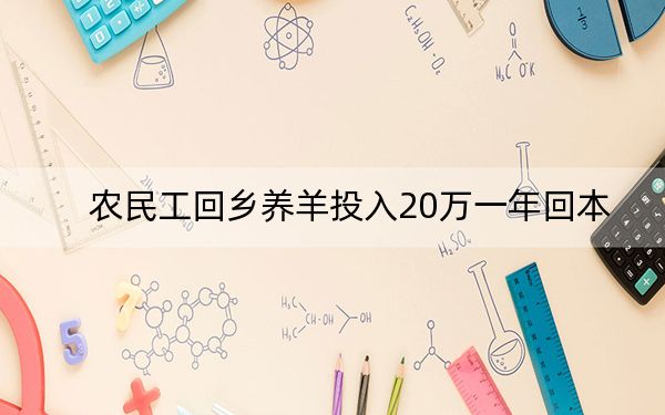 农民工回乡养羊投入20万一年回本
