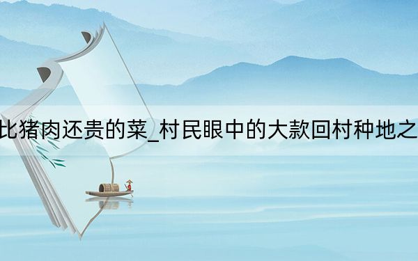 比猪肉还贵的菜_村民眼中的大款回村种地之后