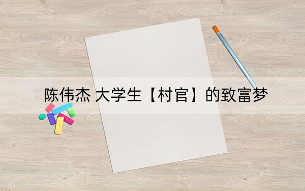 陈伟杰 大学生【村官】的致富梦