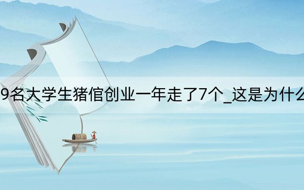 9名大学生猪倌创业一年走了7个_这是为什么呢？