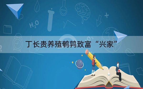 丁长贵养殖鹌鹑致富“兴家”