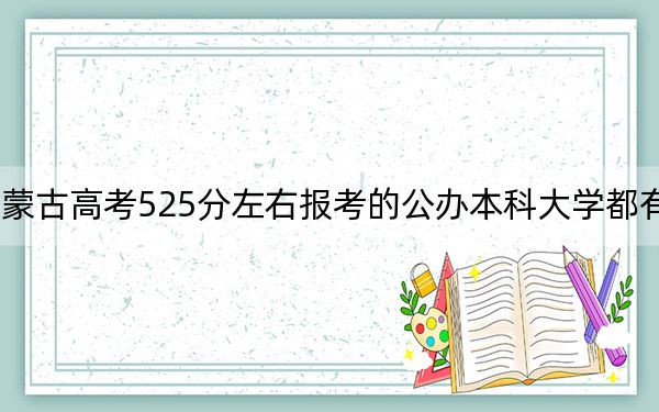 内蒙古高考525分左右报考的公办本科大学都有哪些？（附带近三年525分大学录取名单）