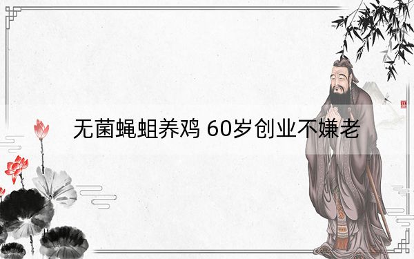 无菌蝇蛆养鸡 60岁创业不嫌老
