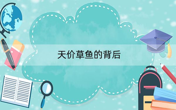 天价草鱼的背后