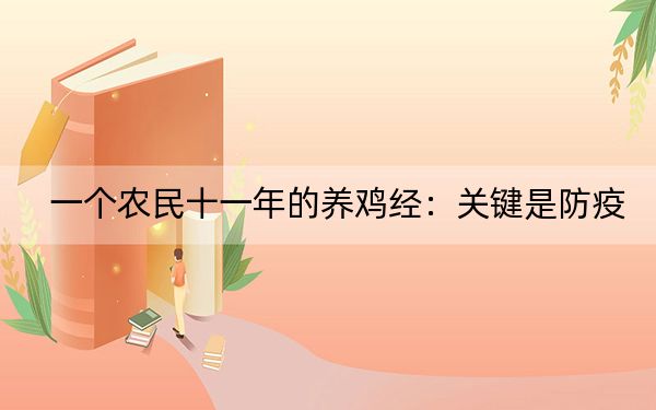 一个农民十一年的养鸡经：关键是防疫