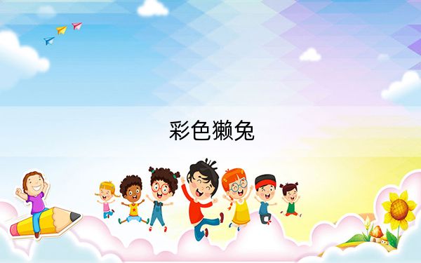 彩色獭兔