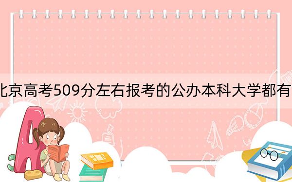 北京高考509分左右报考的公办本科大学都有哪些？ 2025年高考可以填报22所大学