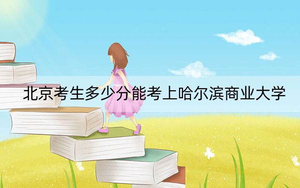 北京考生多少分能考上哈尔滨商业大学？2024年综合录取分512分